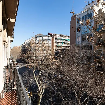 Ab Eixample Miro Park